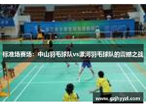 标准场赛场：中山羽毛球队vs漯河羽毛球队的震撼之战